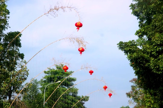 Cây nêu ngày Tết