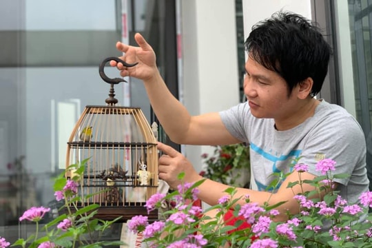 Ngắm cơ ngơi sang trọng của 3 'ông hoàng nhạc đỏ'  Đăng Dương, Trọng Tấn, Việt Hoàn