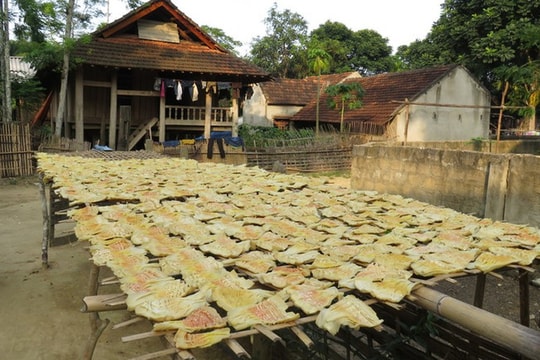 Măng khô ở vùng cao Nghệ An cực hiếm ngày cận Tết 