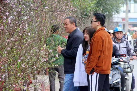 Người dân Nghệ An 'chen chân' mua đào Tết ngày cuối tuần