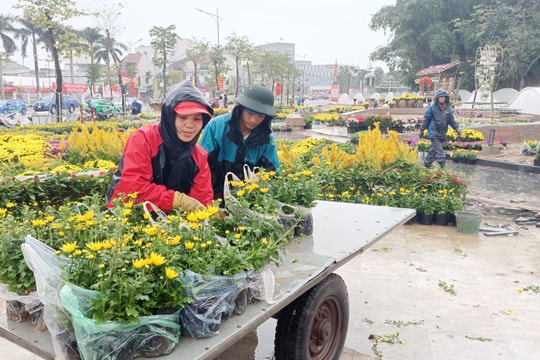 Công nhân dầm mưa trang trí Tết ở thành Vinh