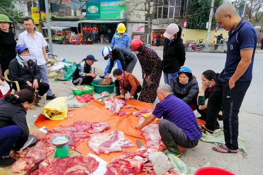 Nông dân Nghệ An rộn ràng 'đụng' lợn Tết