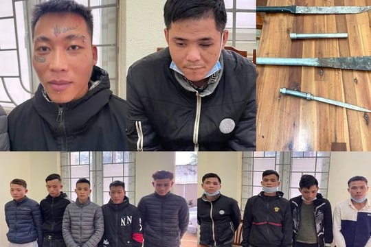 Bắt 11 đối tượng bịt mặt chặt phá đào, quất bán tết