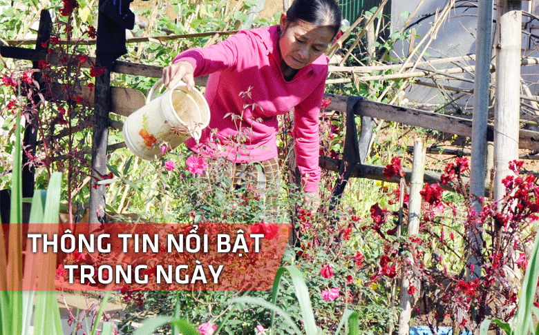 Nghệ An: Thông tin nổi bật ngày 11/2