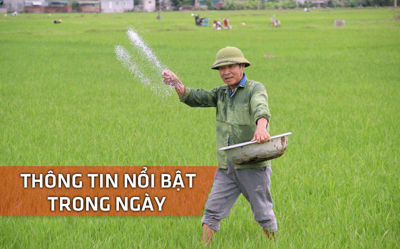 Nghệ An: Thông tin nổi bật ngày 14/2