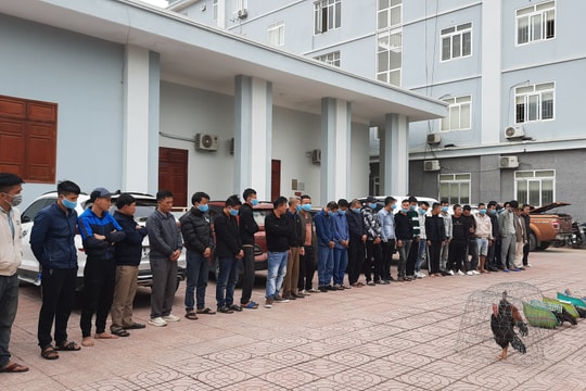 Hàng chục con bạc tham gia 'đá gà' tại Yên Thành