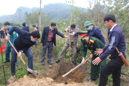 Con Cuông trồng hơn 2.000 cây xanh đầu Xuân Tân Sửu