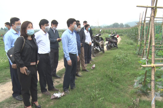 Lãnh đạo huyện Anh Sơn kiểm tra sản xuất đầu năm