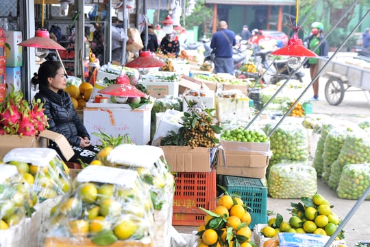 Hoa quả ở chợ đầu mối Vinh ế ẩm, tiểu thương xót xa vứt bỏ