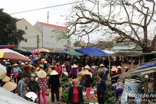 Thị trường Nghệ An đầu năm: Hàng hóa phong phú, giá cả ổn định
