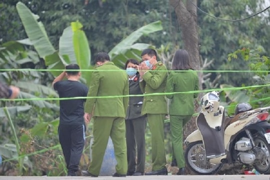 'Xen canh' 230 cây cần sa trong vườn ngô