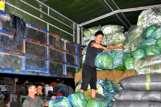 Rau rớt giá thê thảm, tiểu thương chợ đầu mối Vinh phải 'xả' hàng cắt lỗ 