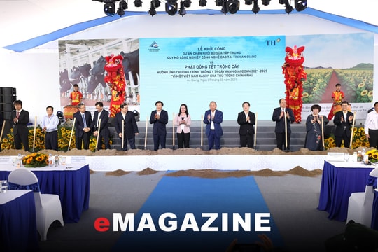 Triển vọng từ Dự án chăn nuôi bò sữa công nghệ cao quy mô lớn nhất Đồng bằng sông Cửu Long 