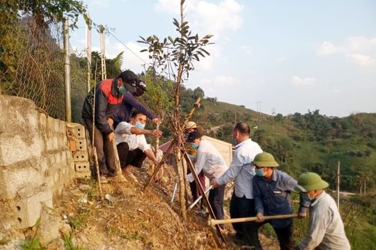 Trường tiểu học vùng cao Nghệ An trồng để bảo tồn cây đào  đá