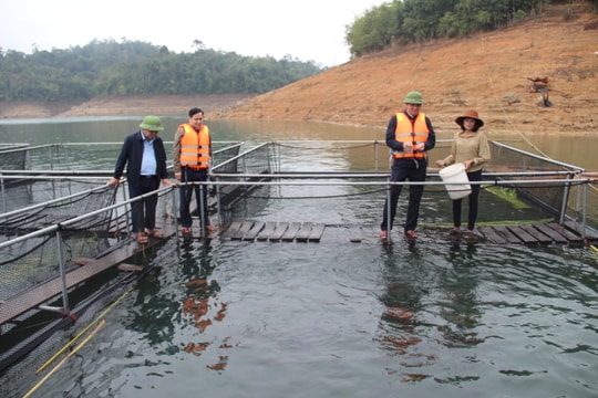 Phó Chủ tịch UBND tỉnh kiểm tra sản xuất nông lâm, thủy sản tại huyện Quế Phong