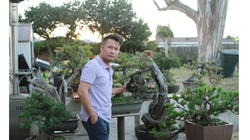 Chiêm ngưỡng nhà vườn 2.000m2 với nhiều cây cảnh đắt tiền của Bằng Kiều