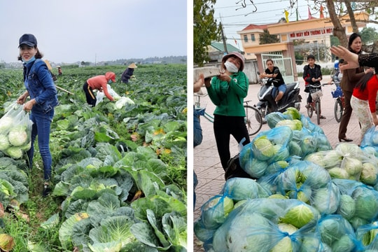 Liên đoàn lao động huyện Diễn Châu kêu gọi giải cứu nông sản cho nông dân