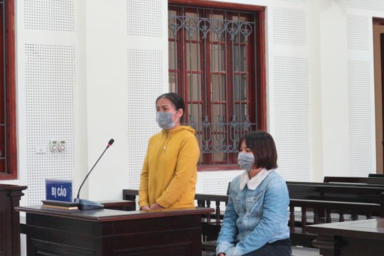 Con bị lừa xuất khẩu lao động, bố mẹ khóc đòi trả lại con trước tòa