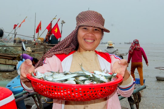 Ngư dân Nghệ An trúng đậm cá trích