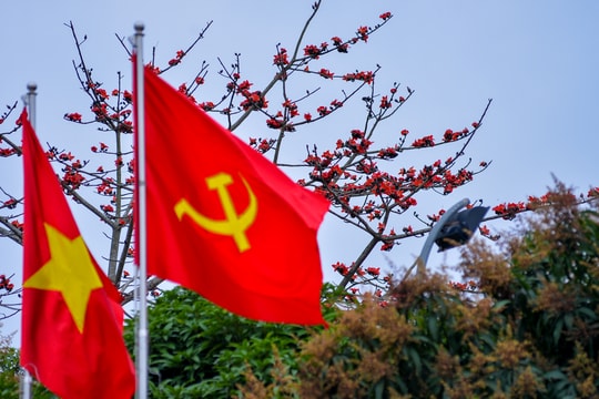 Đẹp đến ngẩn ngơ 'khung trời' hoa gạo trên các vùng quê Nghệ An