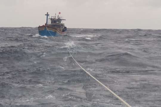 Bị tàu nước ngoài đâm chìm, 2 thuyền viên Nghệ An mất tích