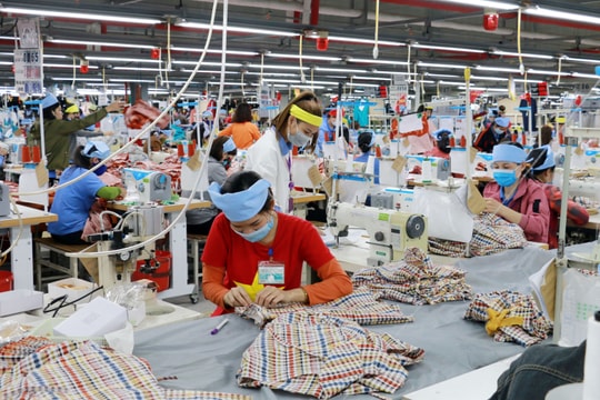 Hướng dẫn cụ thể về tuổi nghỉ hưu theo Nghị định 135/2020/NĐ-CP