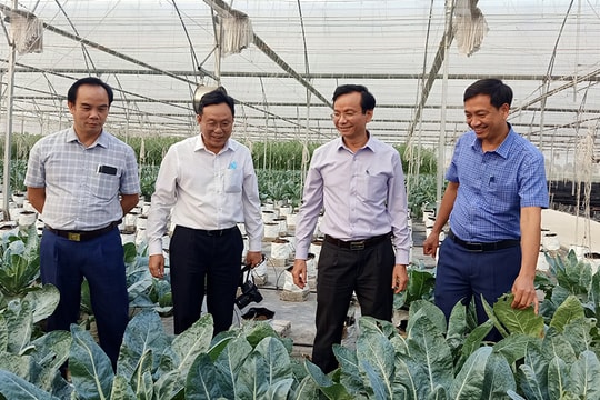 Nâng cao hiệu quả phối hợp tuyên truyền về huyện Quỳnh Lưu trên Báo Nghệ An 