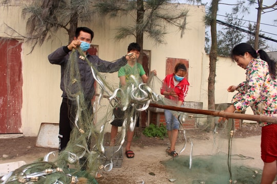 Ngư dân Nghệ An thu 10 triệu đồng chỉ sau 3 giờ đánh bắt vùng lộng