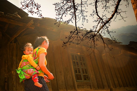 Mùa nắng mới…