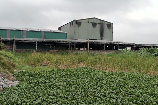 Nghệ An: Nhiều cụm công nghiệp vẫn chưa có hệ thống xử lý nước thải