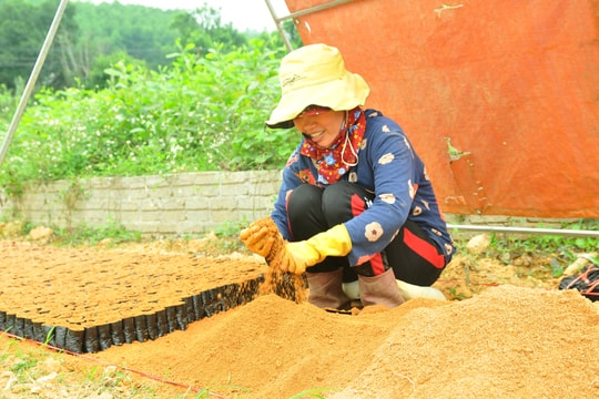 Vất vả nghề 'nghịch đất' kiếm tiền ở Nghệ An