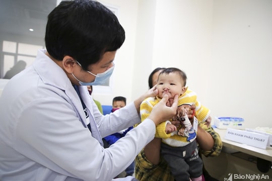 Nghệ An có 57 tổ chức phi chính phủ nước ngoài hoạt động trên địa bàn