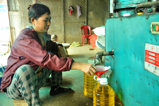  Lo sợ dầu ăn bẩn trên thị trường, người dân Nghệ An đổ xô đi ép dầu về dùng