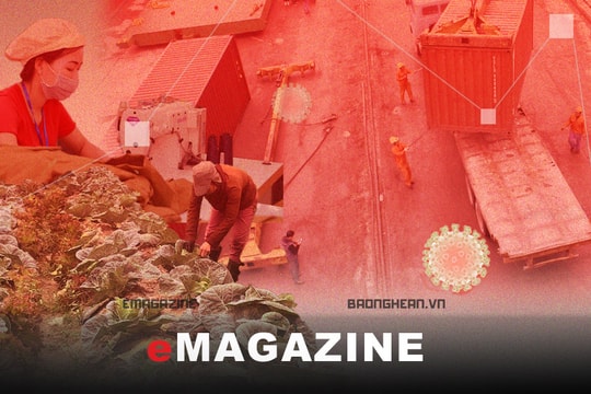 Kinh tế trước tác động của Covid-19 - Kỳ 1: Đứt gãy chu trình sản xuất