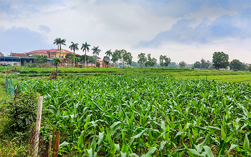Bao giờ hết dự án 'treo'?