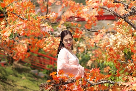 Vợ kém 12 tuổi trẻ trung xinh đẹp của NSND Tự Long