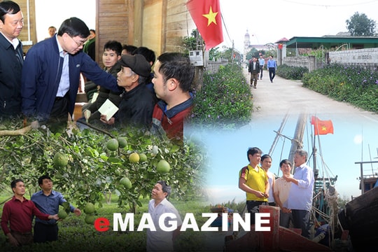 Giải pháp nâng cao năng lực lãnh đạo sức chiến đấu của tổ chức cơ sở đảng