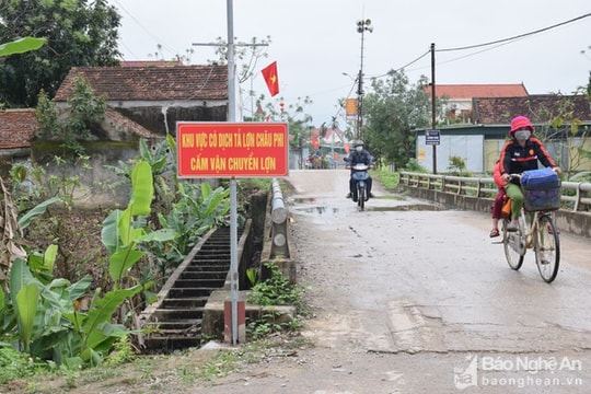 Nghệ An tăng cường kiểm tra, xử lý vận chuyển, buôn bán, giết mổ lợn bệnh