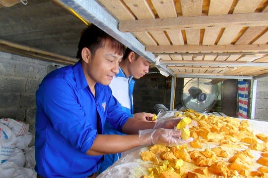 Hàng trăm sinh viên Nghệ An được chia sẻ kinh nghiệm khởi nghiệp