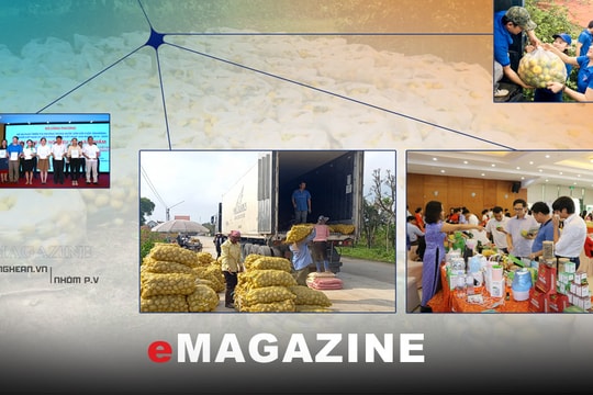 Tìm hướng đi bền vững cho nông sản: