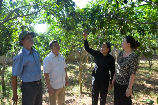 Bảo vệ nền tảng tư tưởng của Đảng