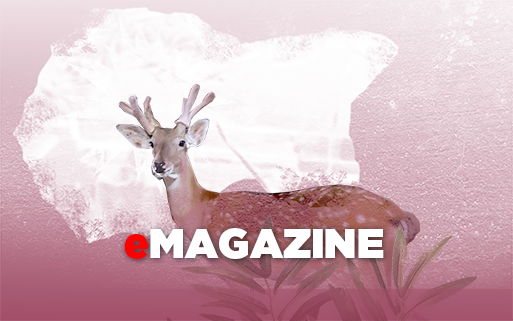 Thăng, trầm thì cũng một nghề...