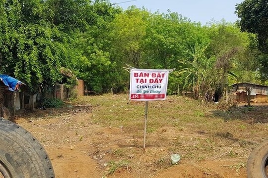 Đề xuất xây dựng dữ liệu quốc gia về giá đất