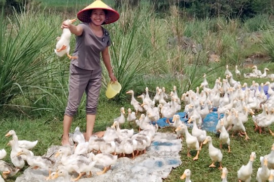 Công đoàn Nghệ An tạo sinh kế thoát nghèo cho nữ công nhân, lao động nghèo