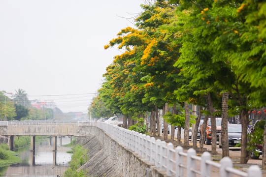 Phố Vinh và mục tiêu xanh