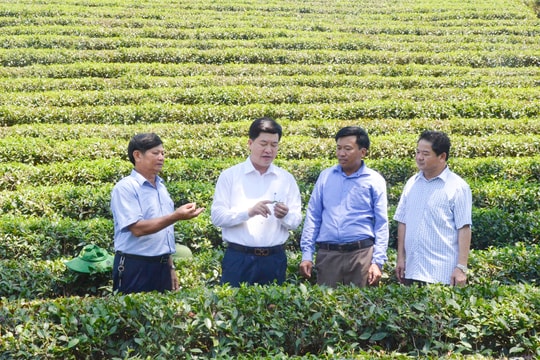 Bài học từ thực tiễn đổi mới, nâng cao chất lượng đánh giá, xếp loại đảng bộ cấp trên cơ sở