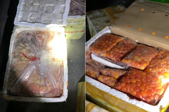 Bắt giữ xe khách chở gần 1 tấn thịt trâu bò, trứng gà non thối