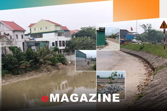 Nghệ An: Báo động vi phạm pháp luật đê điều