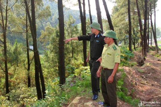 Phó Chủ tịch UBND tỉnh Hoàng Nghĩa Hiếu: Cần chủ động các biện pháp phòng chống cháy rừng