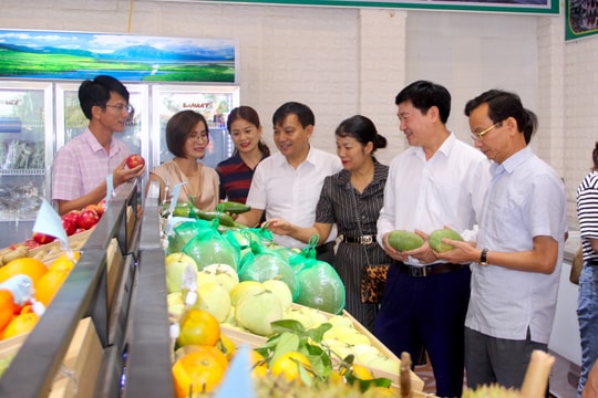 Hội Nông dân tỉnh Nghệ An khai trương cửa hàng nông sản an toàn